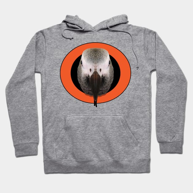 African Grey Hoodie Hoodie by African Grey Parrot Gear